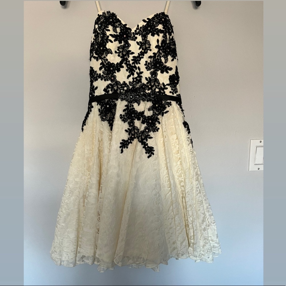 La chateau black and white lace party dress